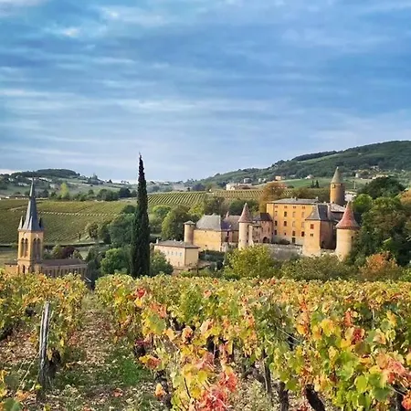 Apartamento Le Clos Du Botaniste Pouilly-le-Monial