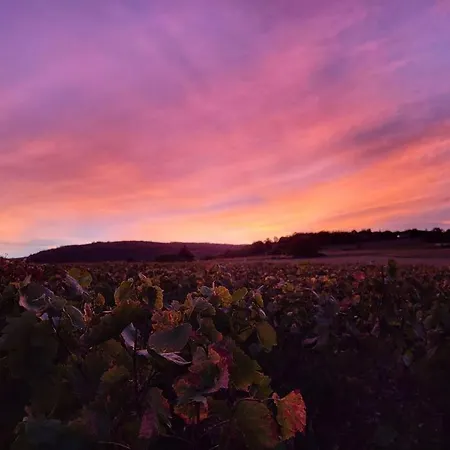 Le Clos Du Botaniste Appartamento