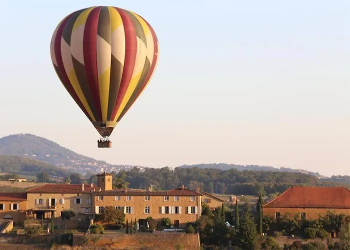 Le Clos Du Botaniste * Pouilly-le-Monial