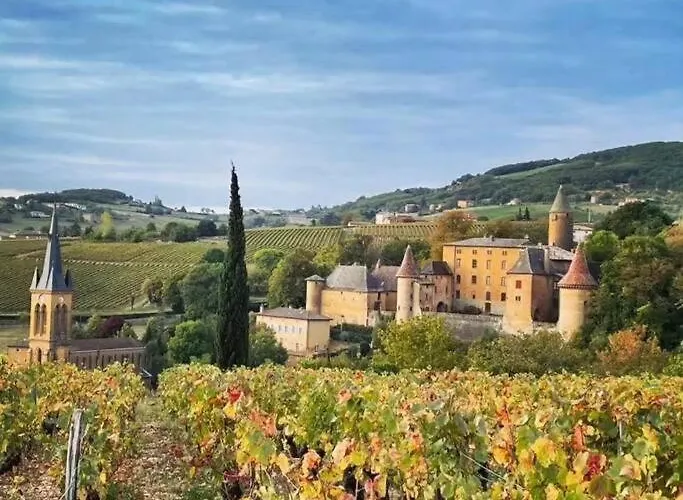Apartment Le Clos Du Botaniste Pouilly-le-Monial