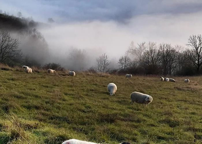 Le Clos Du Botaniste Pouilly-le-Monial